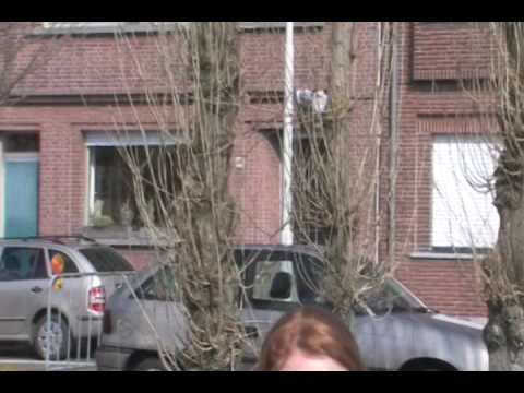 YouTube voorvertoningsafbeelding
