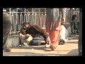 Free medicines in Rajasthan, India