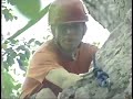 Camp Horizons Promo Video - Voiced By Ezra Horne