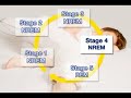 Your Sleep Cycle (Health Tip)