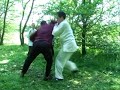 kung fu bagua zhang yizong france