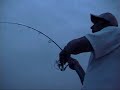 Accurate Light-Line Striper-TEAM OLD SCHOOL