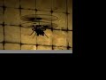 in door micro helicopter rc alany