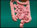 endoscopia la historia no contada parte 5  5/7 