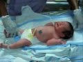 Baby Cannon\
