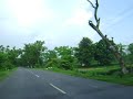 Enjoy the scenic beauty  of  a Tea Garden in Assam