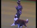 Ann DeRizzio and Ccino Crufts HTM 2008