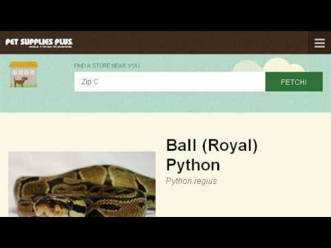 how to treat snake burns
