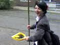 bird-hits-the-glass.html