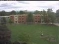 Oakwood’s Last Stand