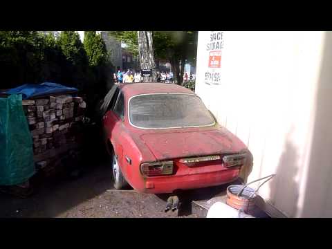 alfa romeo alfa romeo