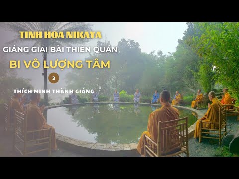 Tinh Hoa NIKAYA - Giảng Giải Bài Thiền Quán - Bi Vô Lượng Tâm 3