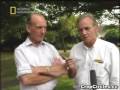 Crop Circles Conspiracy Theory