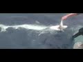 hand feeding sharks