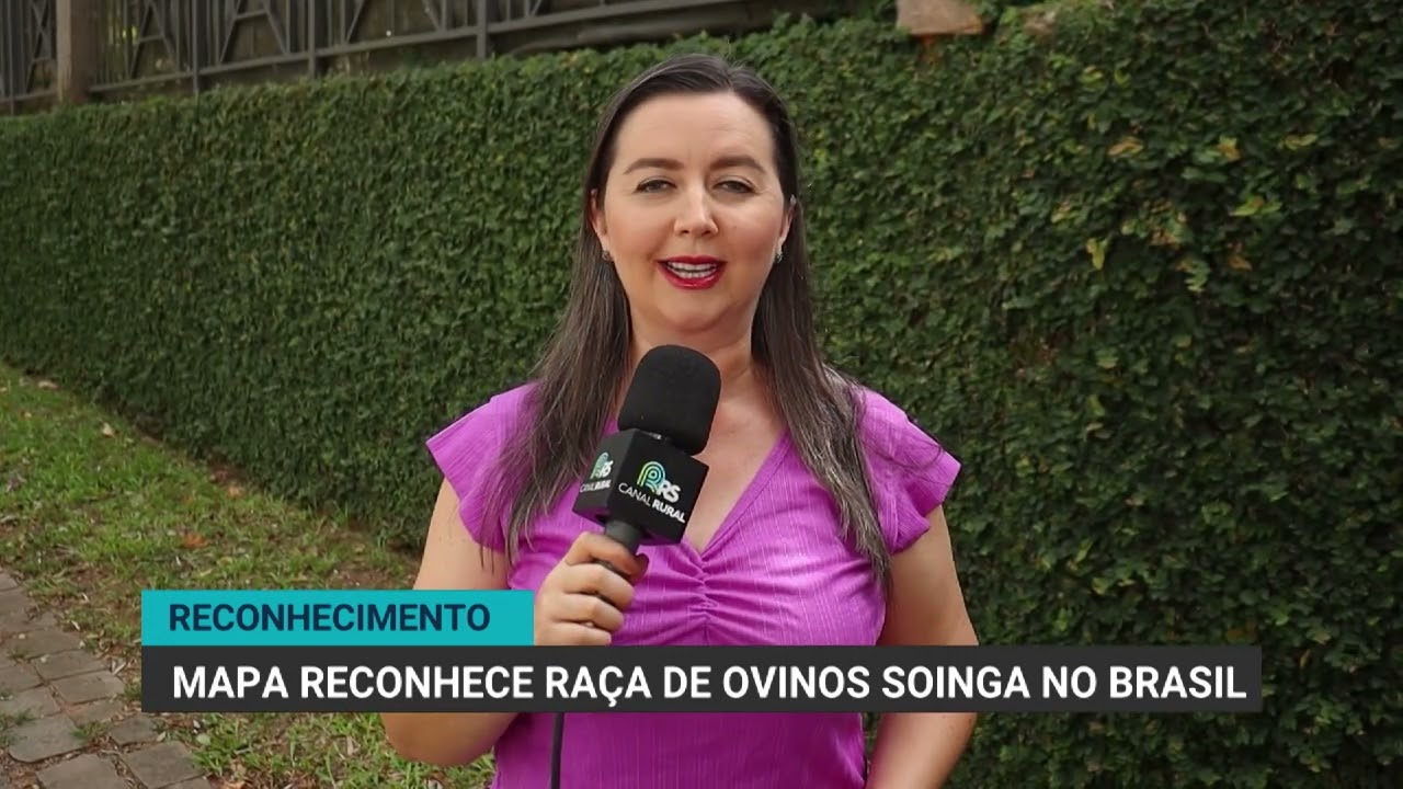 Reconhecimento | Mapa reconhece raça de ovinos Soinga no Brasil