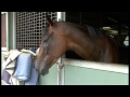 Ellerton Zahra Racing Stable Update - 10th February, 2012.mpg