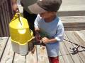 Young boy baits hook with live shrimp