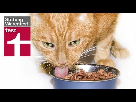 Katzenfutter Test | Stiftung Warentest
