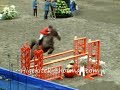 Stockholm Horse Show 2008