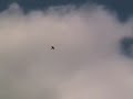 TwinJet with single brushless engine II