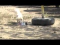 宮城動物愛護センター Miyagi Animal Rescue Center