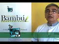 Bambú, Cocina Vegetariana Programa 3