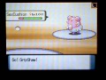 Pokemon WiFi Battle 128 (Disturbed)