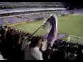 Vamos Morados