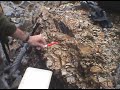 Manuel Pubellier on the Outcrop (English)