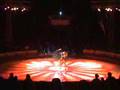 Juggling Sensation Gena Shvartsman Cristiani