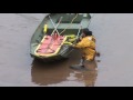 videos de Porpoise  Rescue , Petticodiac River, Moncton
