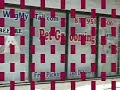 Pet Grooming School, Styling the Dog by Wag My Tail