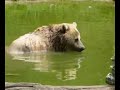  ZSL Whipsnade Zoo