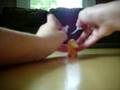 poke adventures episode 3 part 3