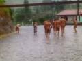 banho de lama