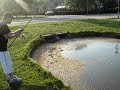 Barry vangt karper 16,2 pond in sloot Dubbeldam Dordrecht