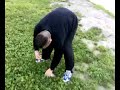 kadapei e la trota frollata a cazzotti kadapei e la trota frollata a cazzotti