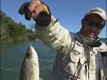 Ayrton pesca - Programa de pesca - PIAU TRÊS PINTAS