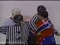 Murray VS Vial in a NHL Fight - Thumb #3