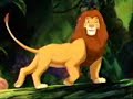 Simba and Nala