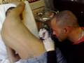 videos de Tatoo N°4