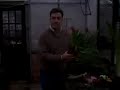 Hippeastrum Care
