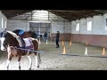 Leendő lovasterapeuták gyakorlati képzése - Fót 2013