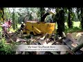Vermeer BC1000XL in Malaysia recycling OPF oil palm fronds and petioles