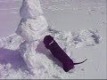 wiener dog ATTACKS!!