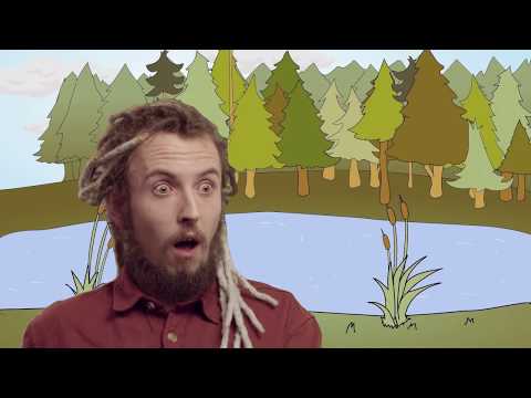 Youtube Video wWi_bxviNgk