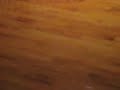 Munji Dancing