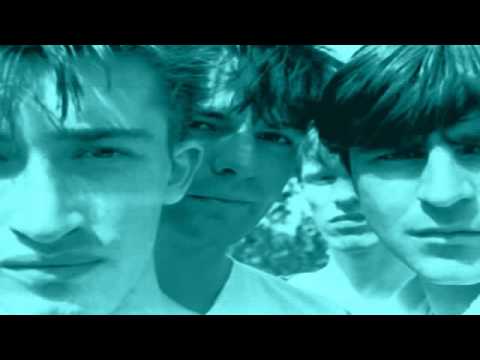 The Chameleons Uk Torrent