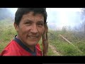 S.O.S en el Alto Mayo Tingana Llora