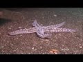 james-egan-layne.html